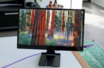 Just a really nice (though pricey) portable monitor