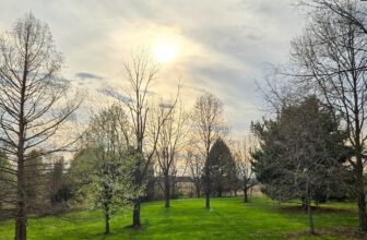 The Little Things Newsletter #465 – Life, laughter, and lots of great food!