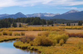 Scientists Are Sounding the Alarm Over Trump’s ‘Emergency’ Forest Logging Order