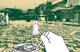 A poignant memoir masquerading as a soccer game