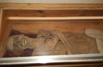 Never-Before-Seen Anal Embalming Method Kept This European Mummy Preserved for Nearly 300 Years