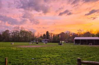 The Little Things Newsletter #467 – Life, laughter, and lots of great food!