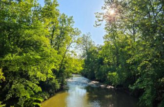 The Little Things Newsletter #470 – Life, laughter, and lots of great food!