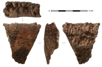 Humans Were Making Tools From Whale Bones 20,000 Years Ago, Study Reveals