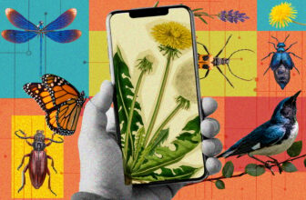 ​​How to Become a Backyard Naturalist With Just Your Smartphone