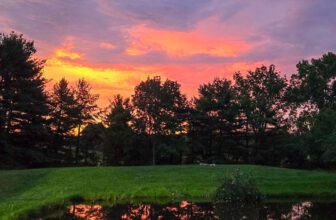 The Little Things Newsletter #475 – Life, laughter, and lots of great food!