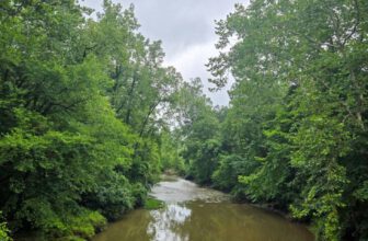 The Little Things Newsletter #480 – Life, laughter, and lots of great food!