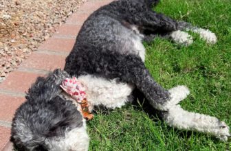 8.22 Friday Faves – The Fitnessista