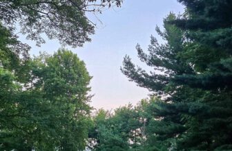 The Little Things Newsletter #481 – Life, laughter, and lots of great food!