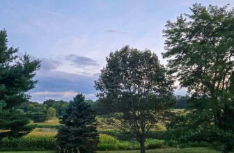 The Little Things Newsletter #485 – Life, laughter, and lots of great food!