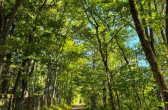 The Little Things Newsletter #489 – Life, laughter, and lots of great food!