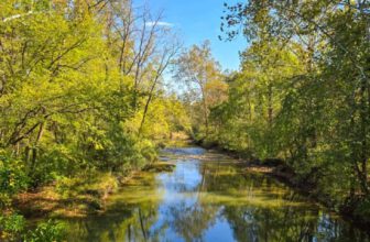 The Little Things Newsletter #490 – Life, laughter, and lots of great food!