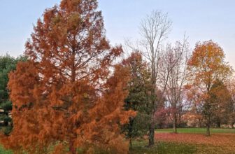 The Little Things Newsletter #495 – Life, laughter, and lots of great food!