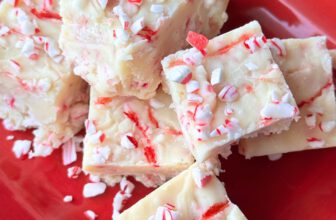 PEPPERMINT FUDGE – The Southern Lady Cooks