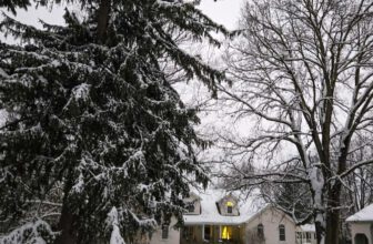 The Little Things Newsletter #498 – Life, laughter, and lots of great food!