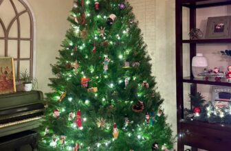 12.6 Friday Faves – The Fitnessista