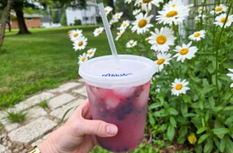 Easy Mocktails – Barefeet in the Kitchen